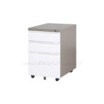 Rolling File Cabinet(1)